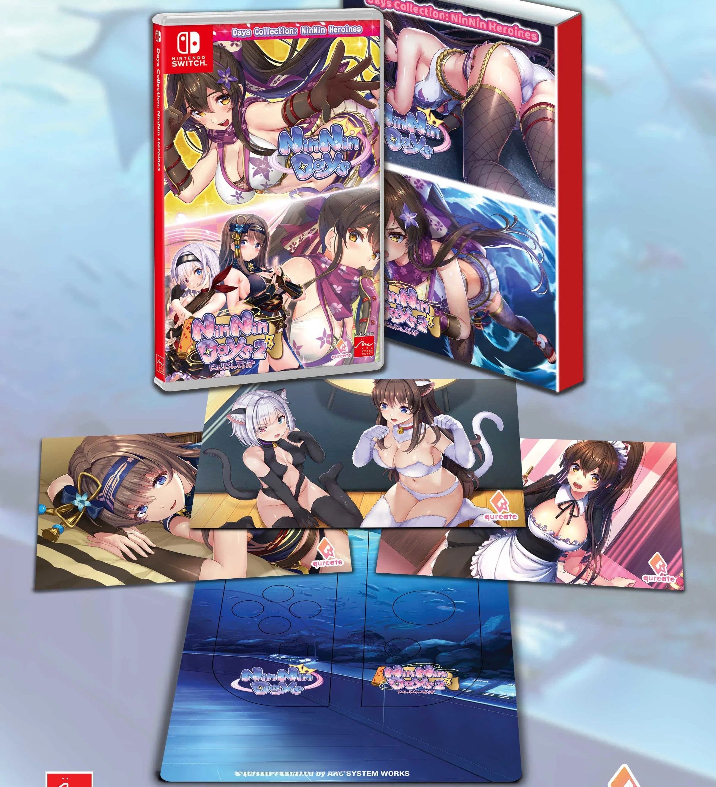 NinNin Heroines First Print Edition Is Coming to Switch — Here's Why Collectors Need It