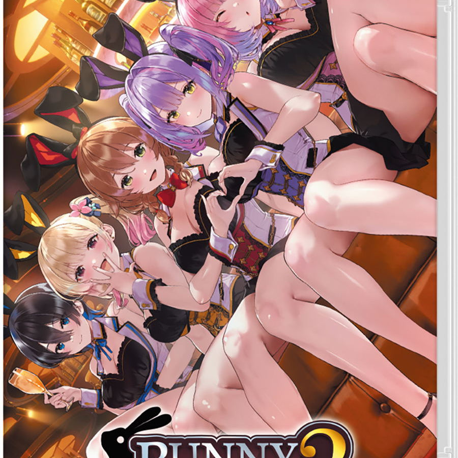 Nintendo Switch game case cover for Bunny Garden 2, featuring anime-style female characters in bunny-themed outfits against a warm brown and gold background. The Nintendo Switch logo is visible in the top-left corner.