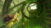 Tortoise in a stone tunnel with a spiral ceiling