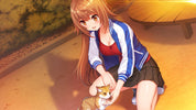 Days Collection Akiba Heroines First Print Edition Switch