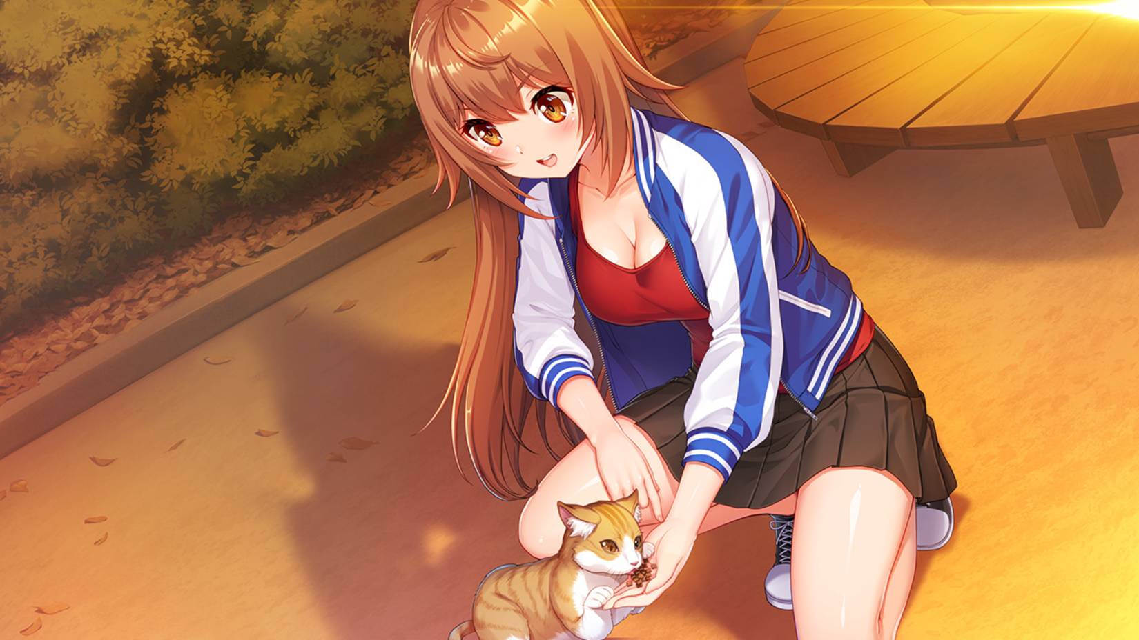 Days Collection Akiba Heroines First Print Edition Switch
