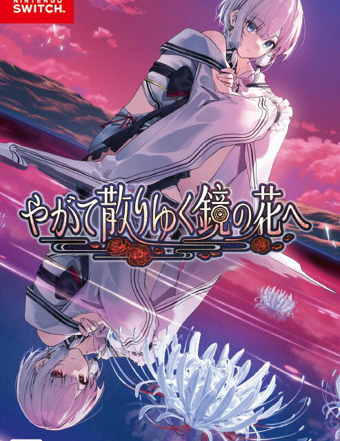 Nintendo Switch game cover with an anime-style character and Kogado logo.