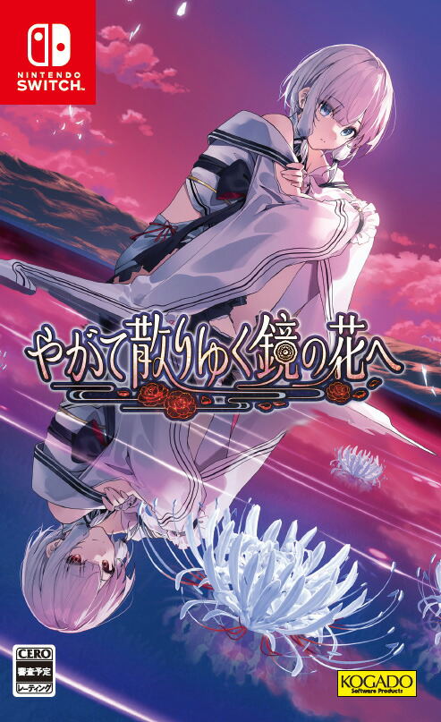 Nintendo Switch game cover with an anime-style character and Kogado logo.