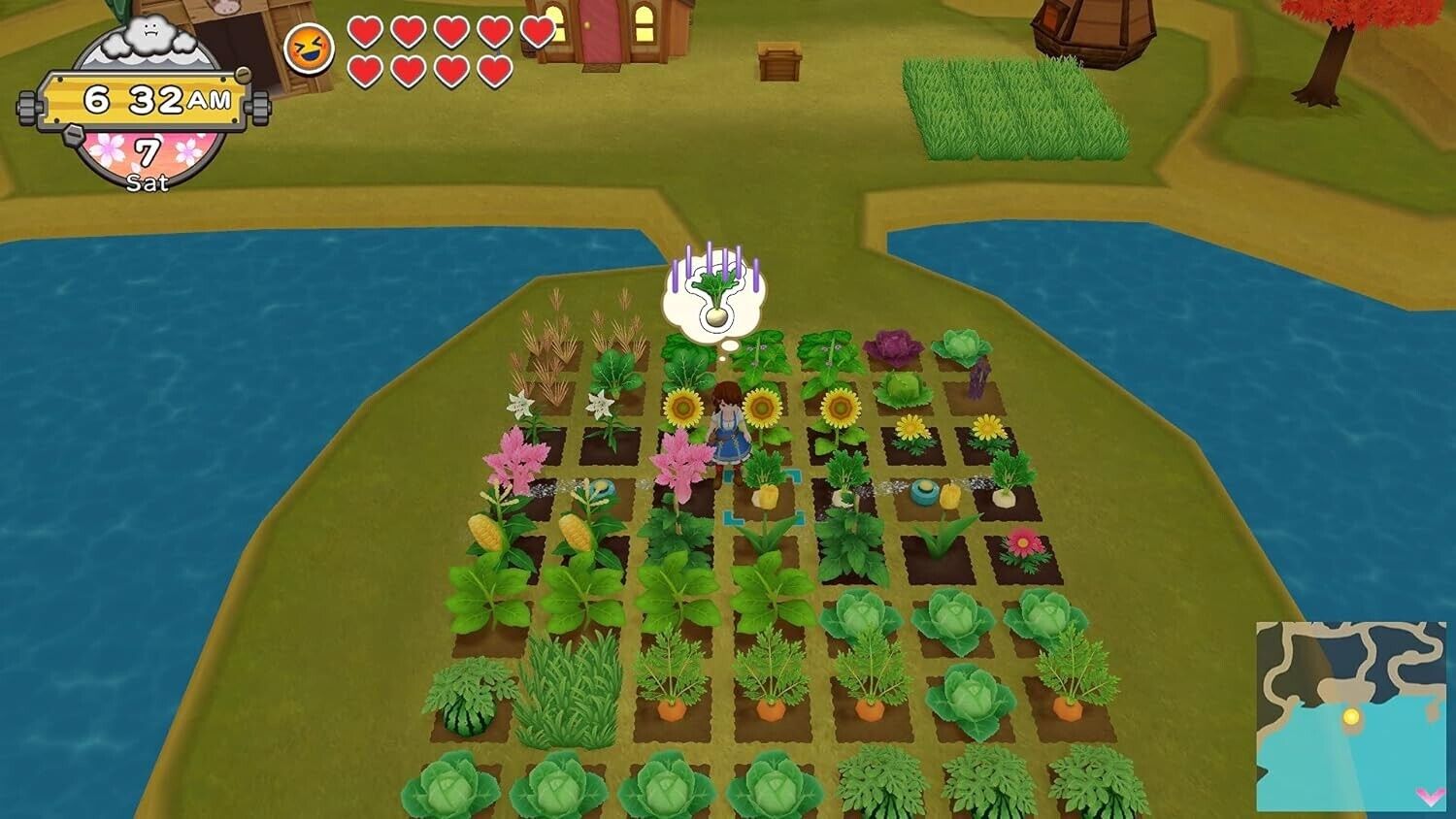 Harvest_Moon_Complete_switch_scene_b