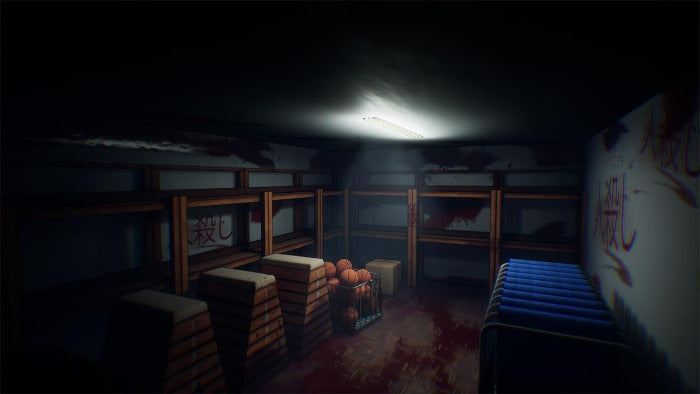 A dark, atmospheric room scene with wooden shelving, stacked crates, a pile of orange-brown spherical objects, and a blue striped object on the right, lit by a single overhead bulb in a dim environment.