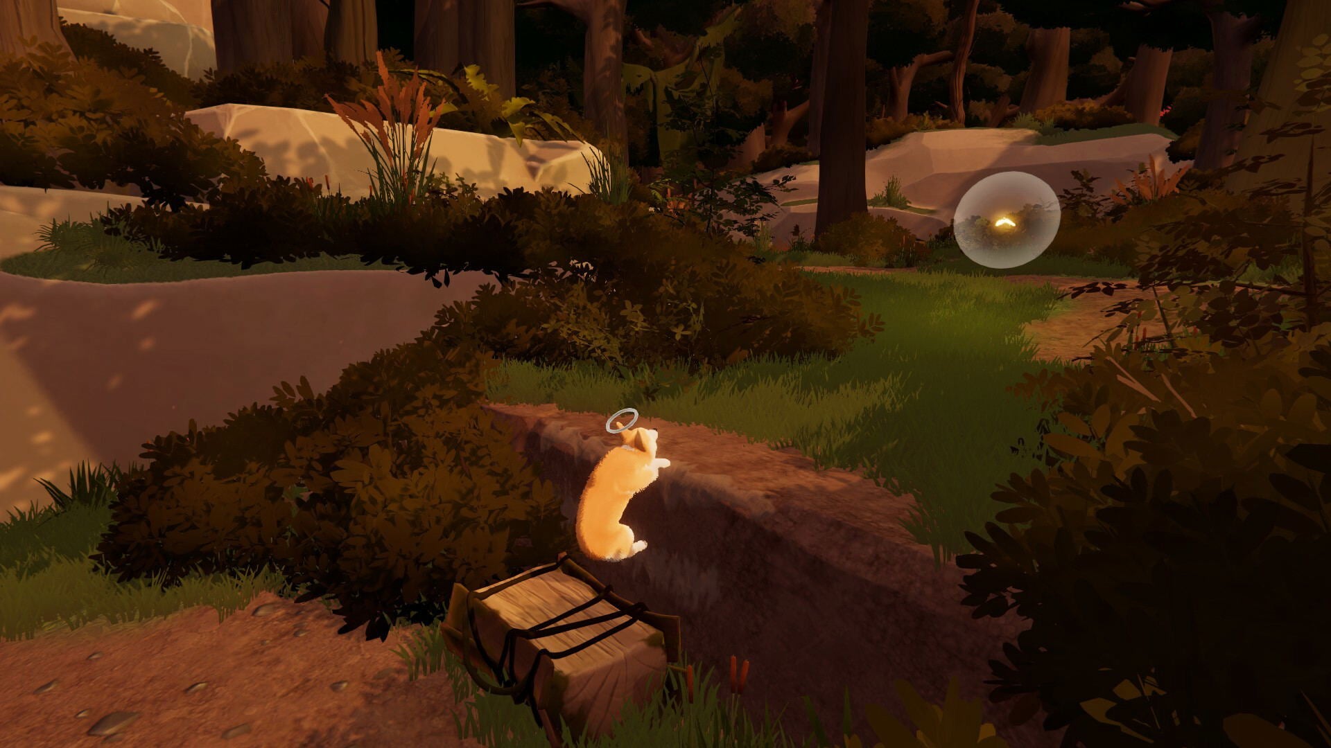 Animated character sitting on a rock in a forest with a glowing orb above
