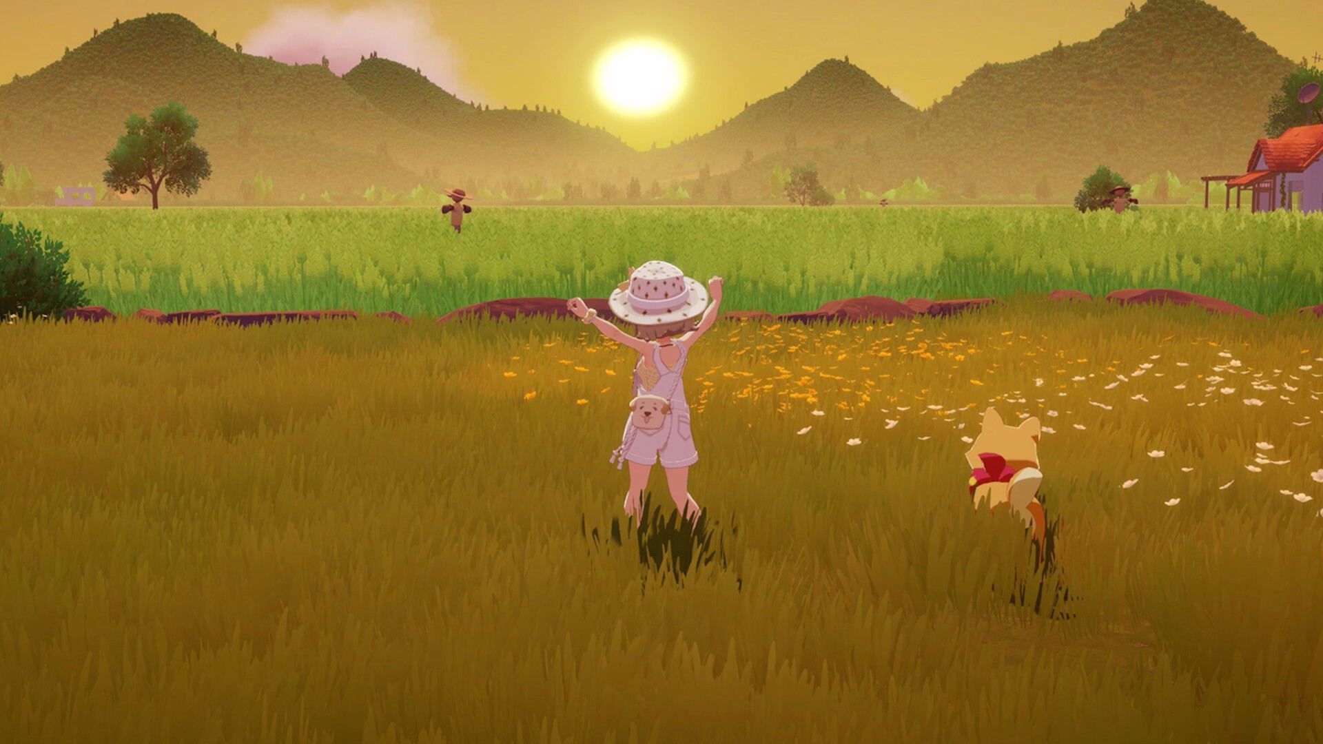 Starsand Island Switch 2