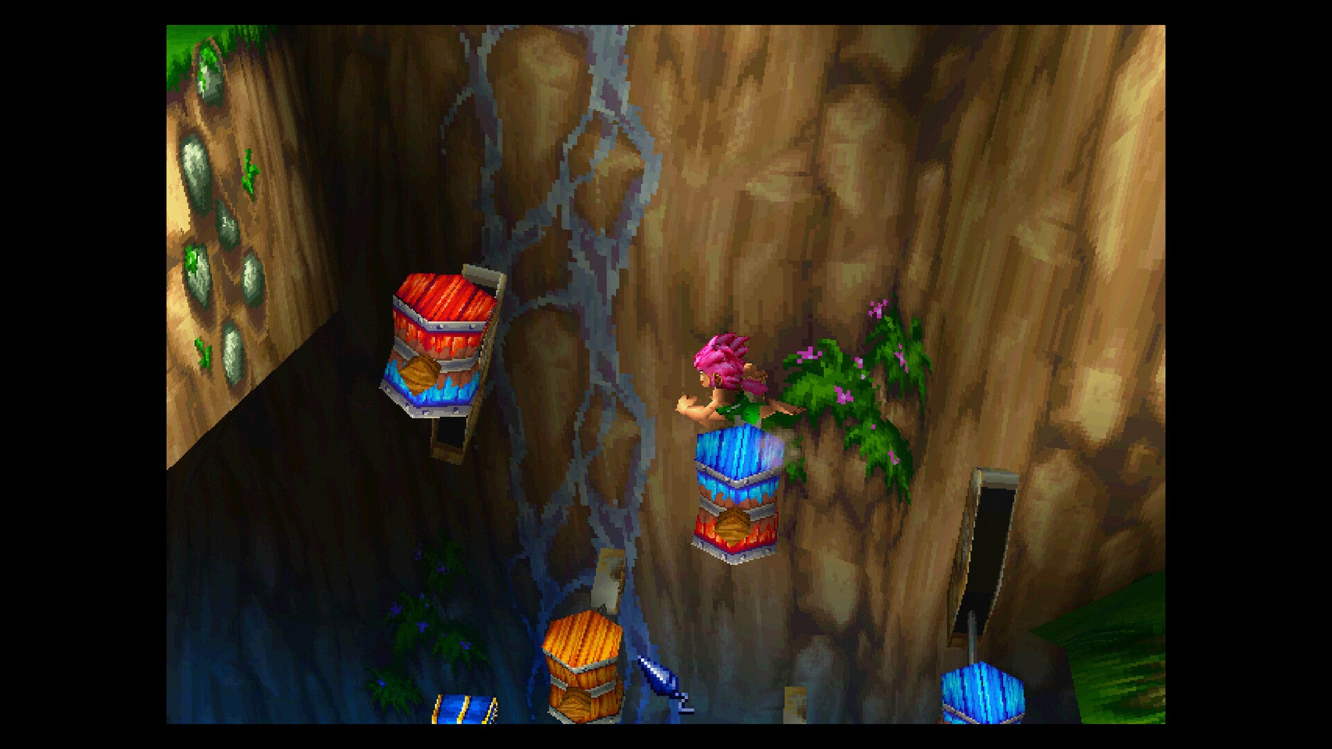 Tomba 2 The Evil Swine Return Standard Switch LRG