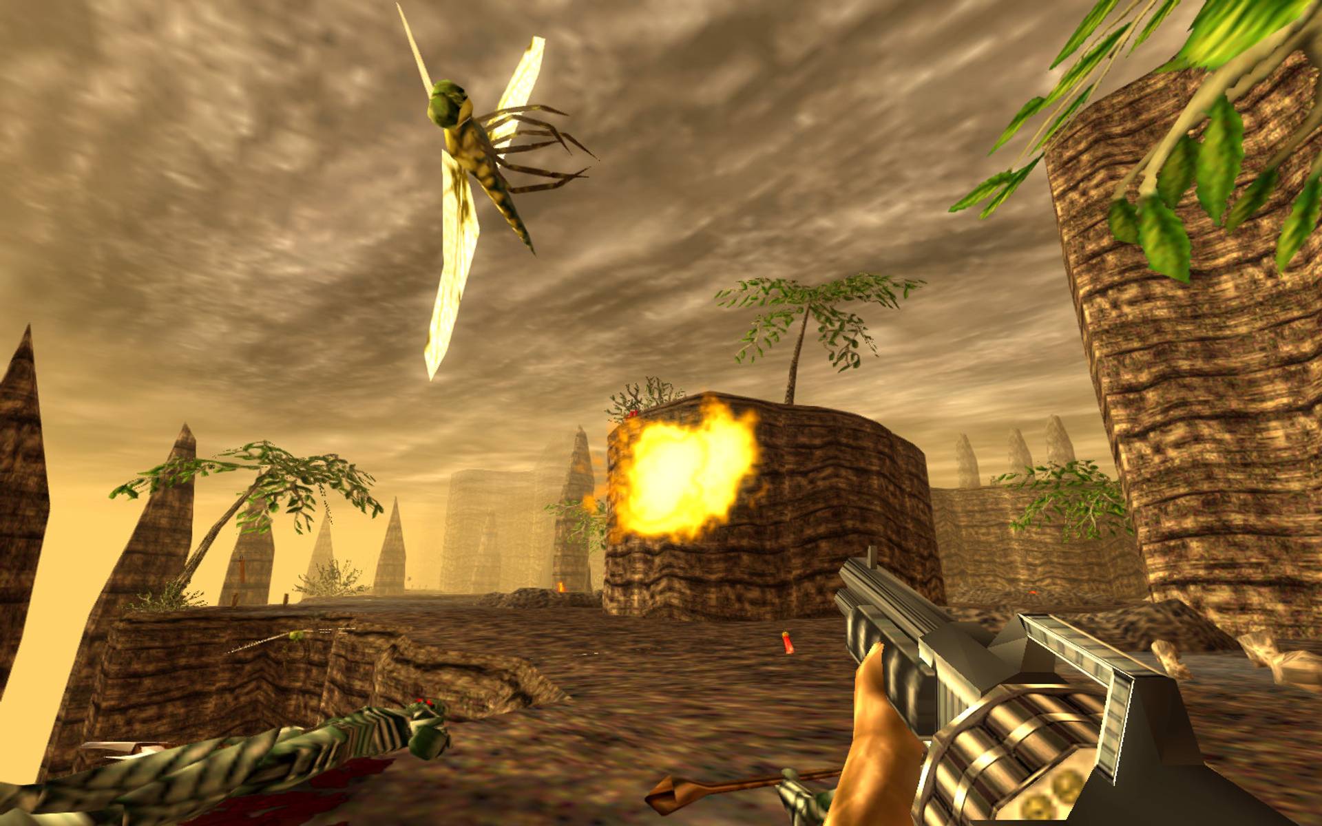 Turok Xbx